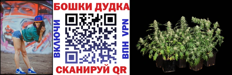 А ПВП Пенза
