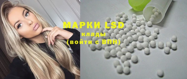 ПСИЛОЦИБИНОВЫЕ ГРИБЫ Алексин
