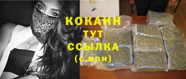 ПСИЛОЦИБИНОВЫЕ ГРИБЫ Алексин