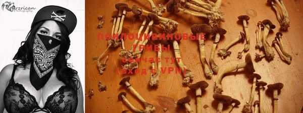 ПСИЛОЦИБИНОВЫЕ ГРИБЫ Алексин